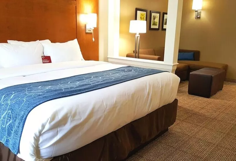 ジュニアスイート, Comfort Suites Hotel And Conference Center