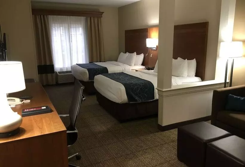 スイート, Comfort Suites Hotel And Conference Center