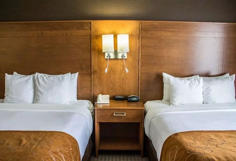 スイート, Comfort Suites Hotel And Conference Center