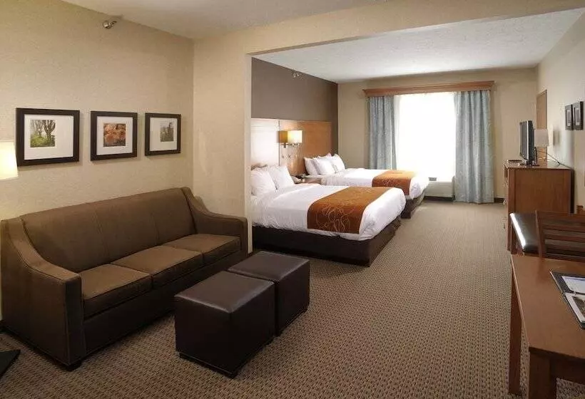 スイート, Comfort Suites Hotel And Conference Center