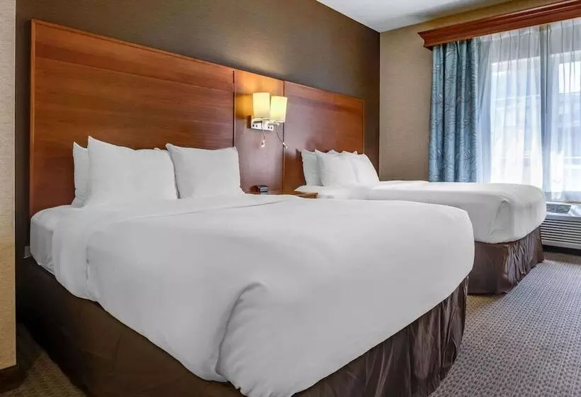スイート, Comfort Suites Hotel And Conference Center