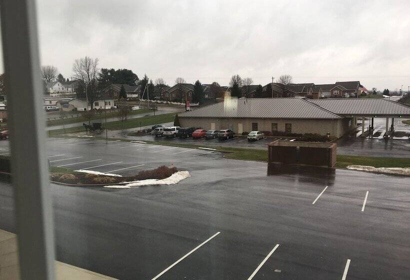 جناح, Comfort Suites Hotel And Conference Center