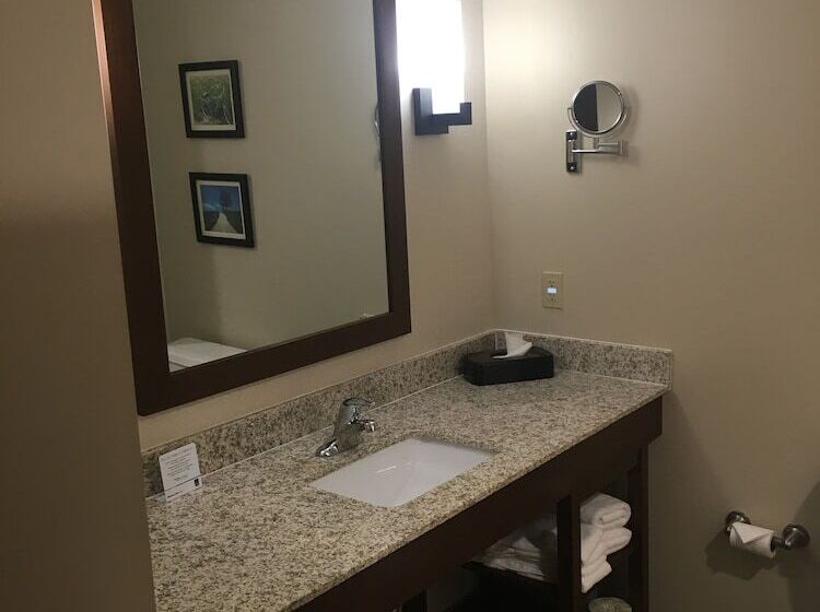 스위트, Comfort Suites Hotel And Conference Center