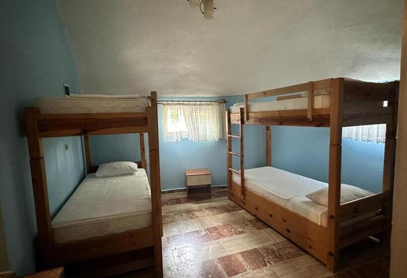 سوییت خانوادگی, Bahaus Resort