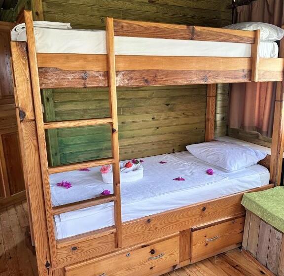 Четырехместный Номер Deluxe, Bahaus Resort