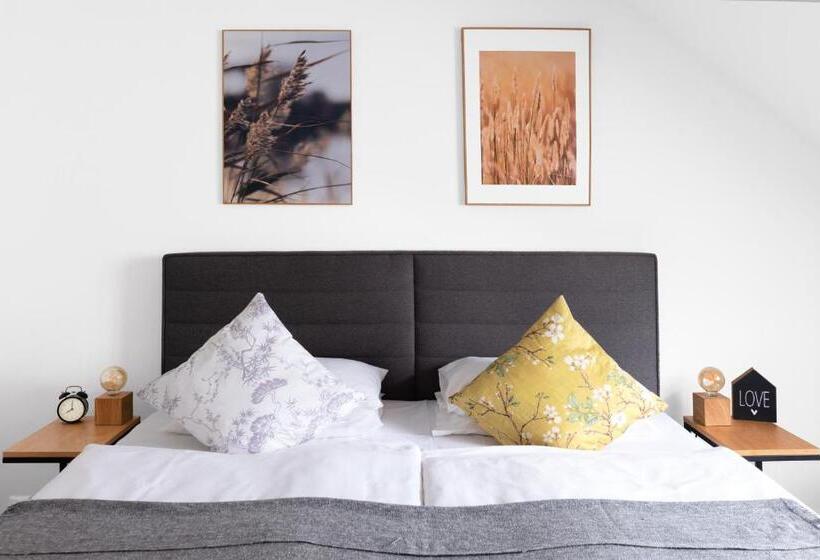 اتاق استاندارد, Baroko