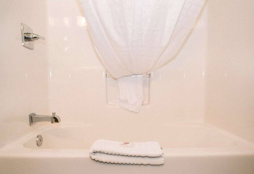 חדר סטנדרט שתי מיטות זוגיות, Comfort Inn & Suites