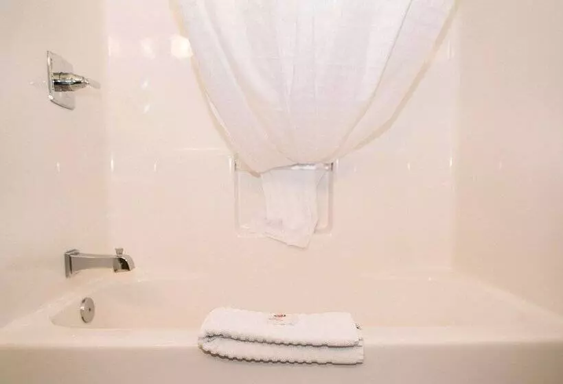２ダブルベッドのスタンダードルーム, Comfort Inn & Suites