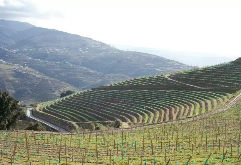 スーペリアールーム, Douro Scala