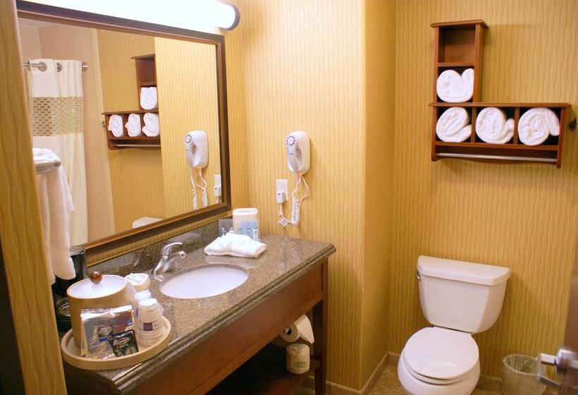 スタンダードルーム, Hampton Inn & Suites Brenham