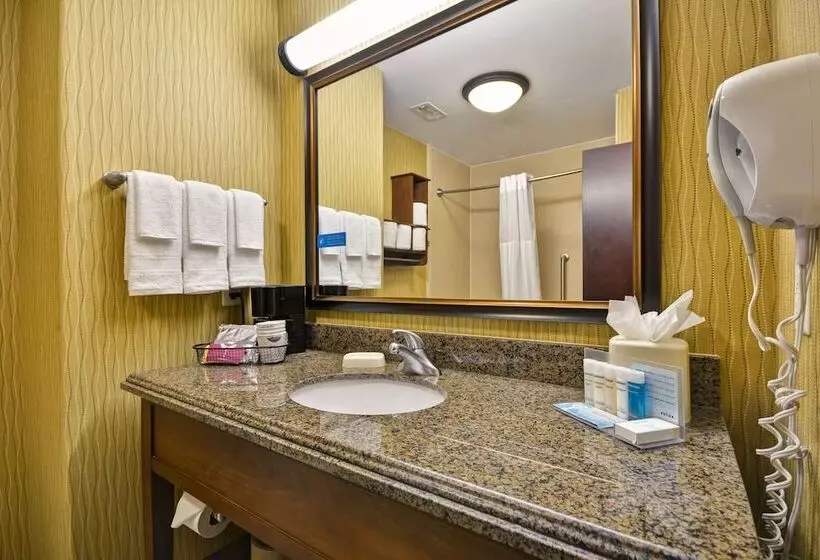 スタンダードルーム, Hampton Inn & Suites Brenham
