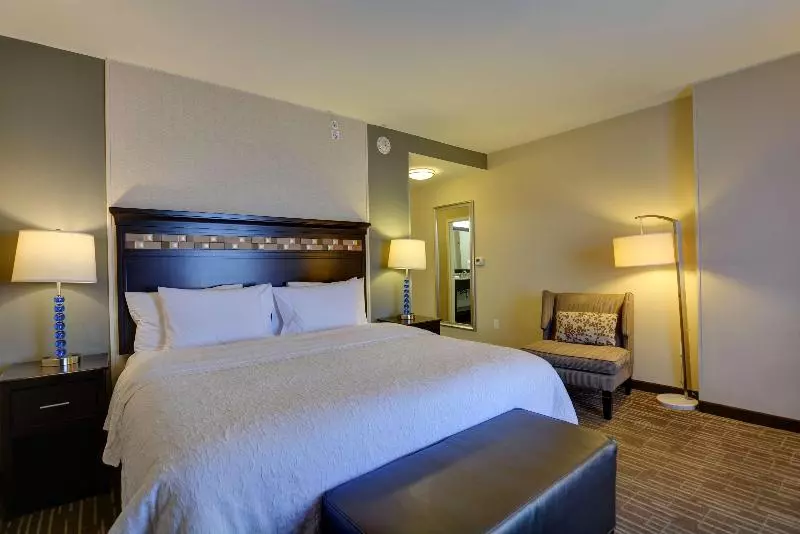 キングサイズベッドのスタンダードルーム, Hampton Inn & Suites Denver/airportgateway Park