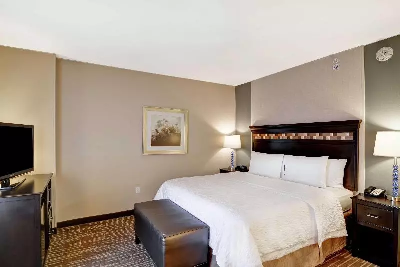 キングサイズベッドのスタンダードルーム, Hampton Inn & Suites Denver/airportgateway Park