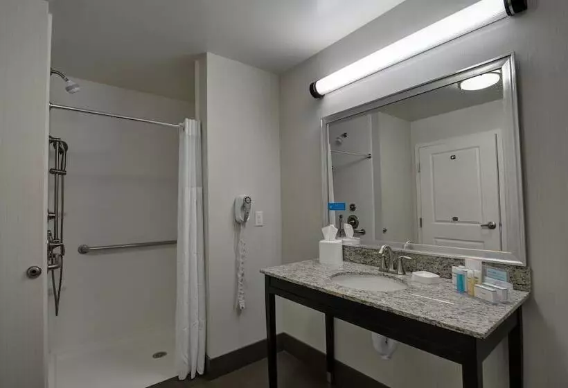 スタンダードスタジオ, Hampton Inn & Suites Denver/airportgateway Park