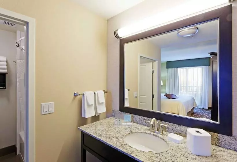 身障者適用スタンダードルーム, Hampton Inn & Suites Denver/airportgateway Park