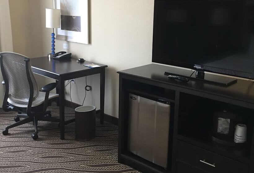 身障者適用スタンダードルーム, Hampton Inn & Suites Denver/airportgateway Park