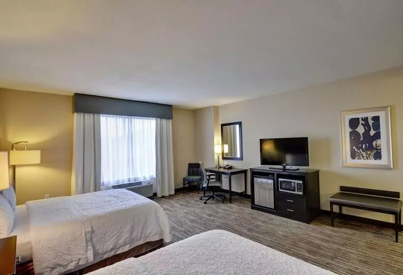 身障者適用スタンダードルーム, Hampton Inn & Suites Denver/airportgateway Park