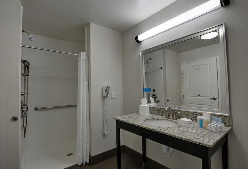 スタンダードルーム, Hampton Inn & Suites Denver/airportgateway Park