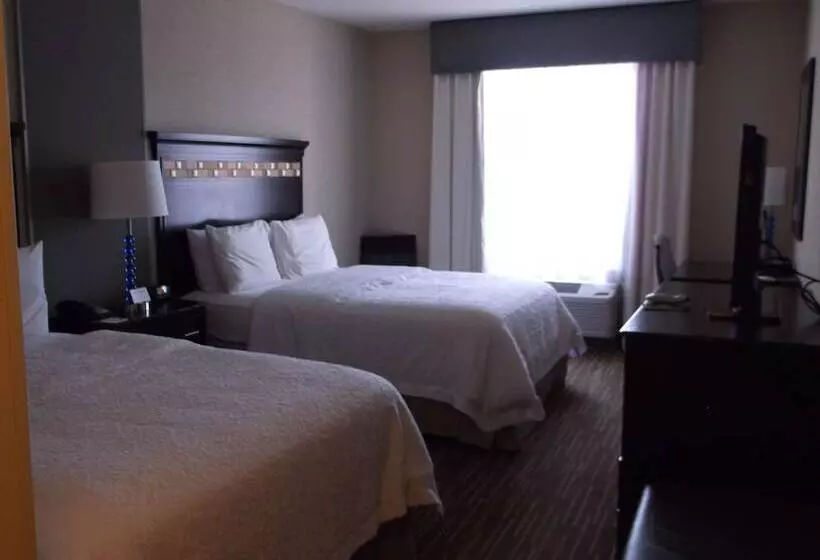 スタンダードルーム, Hampton Inn & Suites Denver/airportgateway Park