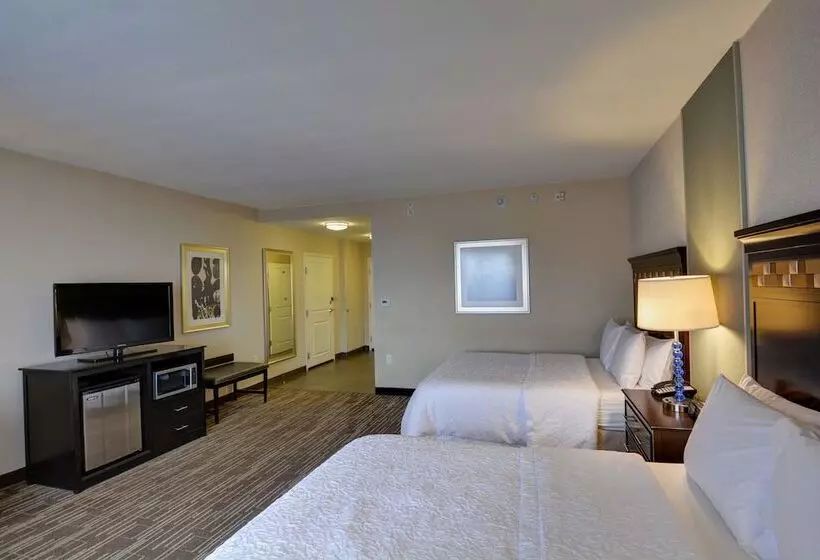 スタンダードルーム, Hampton Inn & Suites Denver/airportgateway Park