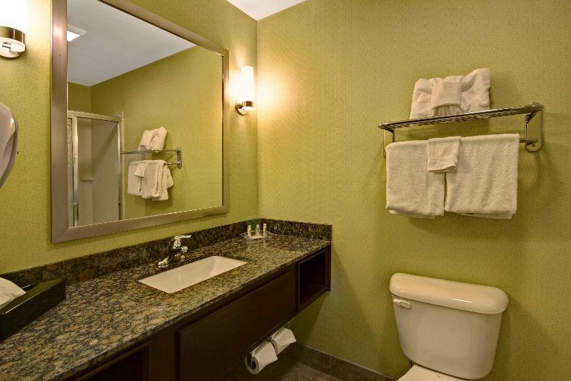 غرفة قياسية سرير كينج, Holiday Inn Christiansburg Blacksburg, An Ihg