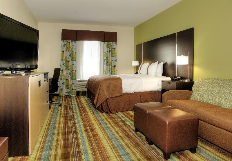 غرفة قياسية سرير كينج, Holiday Inn Christiansburg Blacksburg, An Ihg