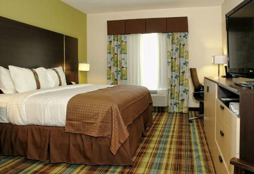 غرفة قياسية سرير كينج, Holiday Inn Christiansburg Blacksburg, An Ihg
