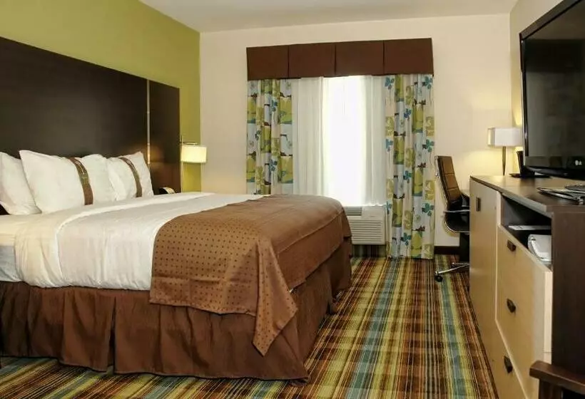 キングサイズベッドのスタンダードルーム, Holiday Inn Christiansburg Blacksburg, An Ihg