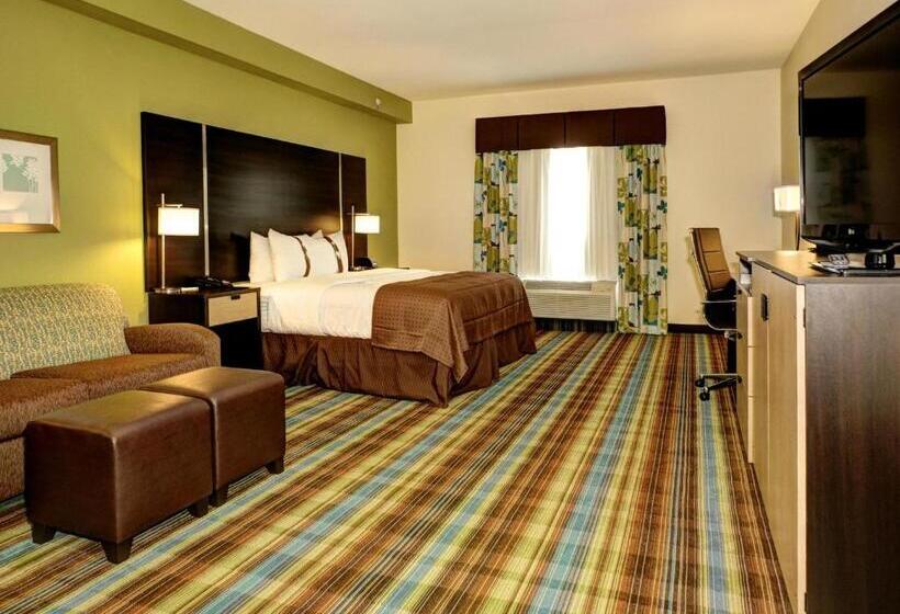 غرفة إدارية سرير كينج, Holiday Inn Christiansburg Blacksburg, An Ihg