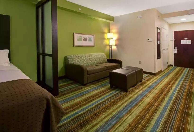 スイート, Holiday Inn Christiansburg Blacksburg, An Ihg