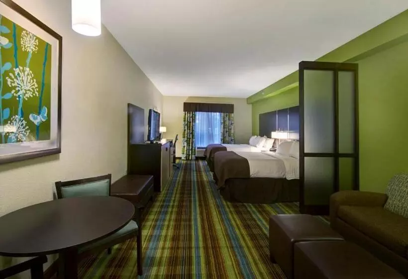 スイート, Holiday Inn Christiansburg Blacksburg, An Ihg