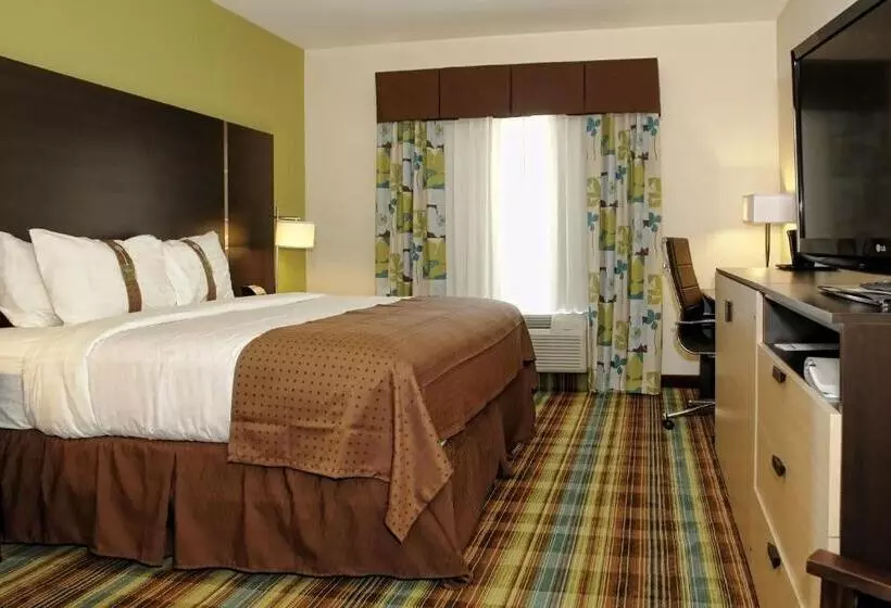身障者適用キングサイズベッドルーム, Holiday Inn Christiansburg Blacksburg, An Ihg