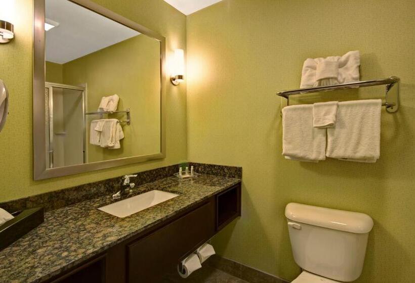 غرفة قياسية سرير كينج لذوى الإحتياجات الخاصة, Holiday Inn Christiansburg Blacksburg, An Ihg