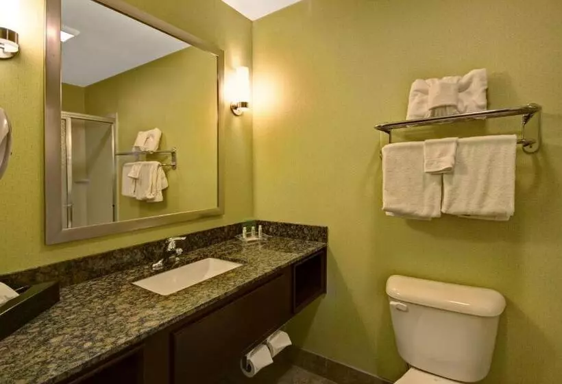 身障者適用キングサイズベッドルーム, Holiday Inn Christiansburg Blacksburg, An Ihg
