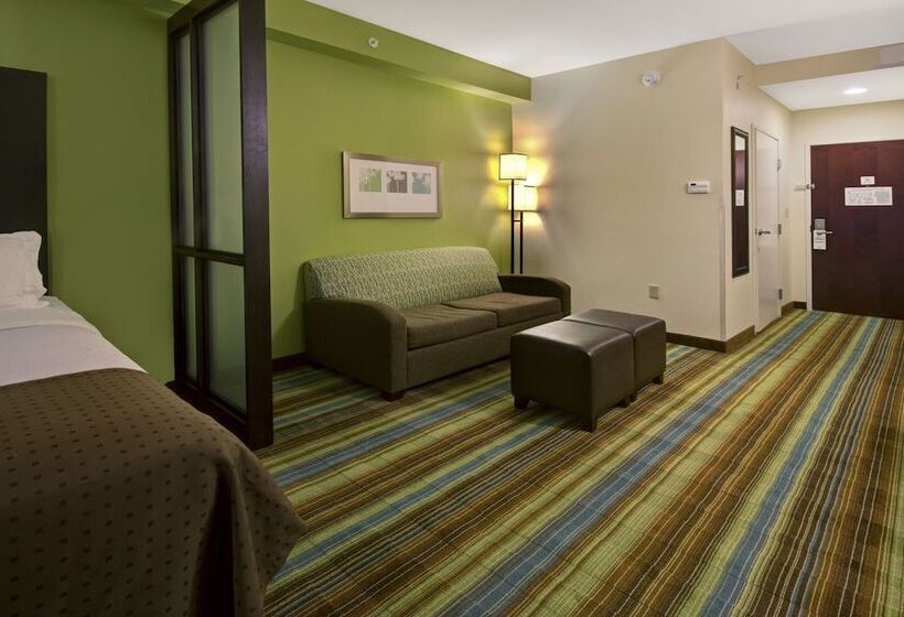 غرفة قياسية, Holiday Inn Christiansburg Blacksburg, An Ihg