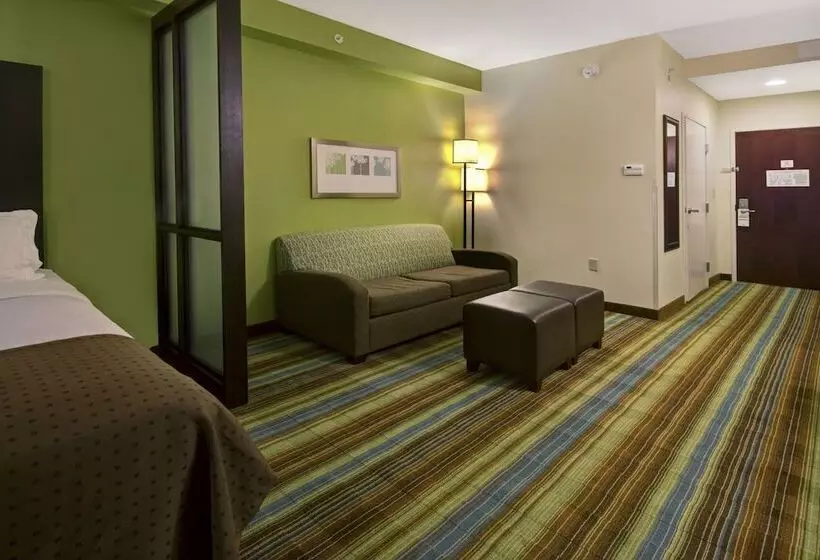 スタンダードルーム, Holiday Inn Christiansburg Blacksburg, An Ihg