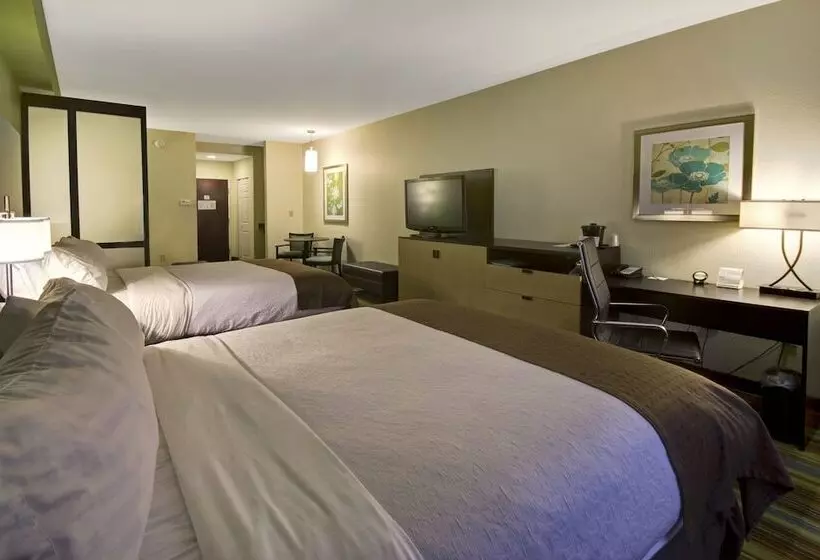 スイート, Holiday Inn Christiansburg Blacksburg, An Ihg