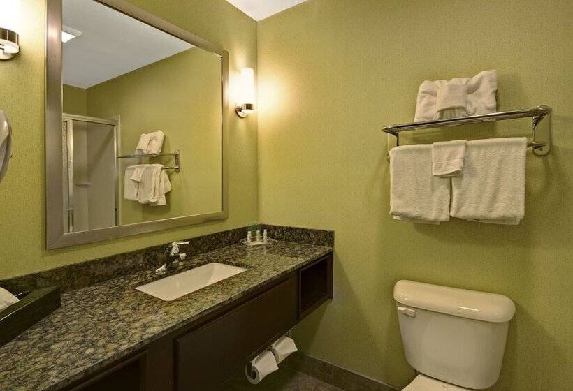 Люкс, Holiday Inn Christiansburg Blacksburg, An Ihg