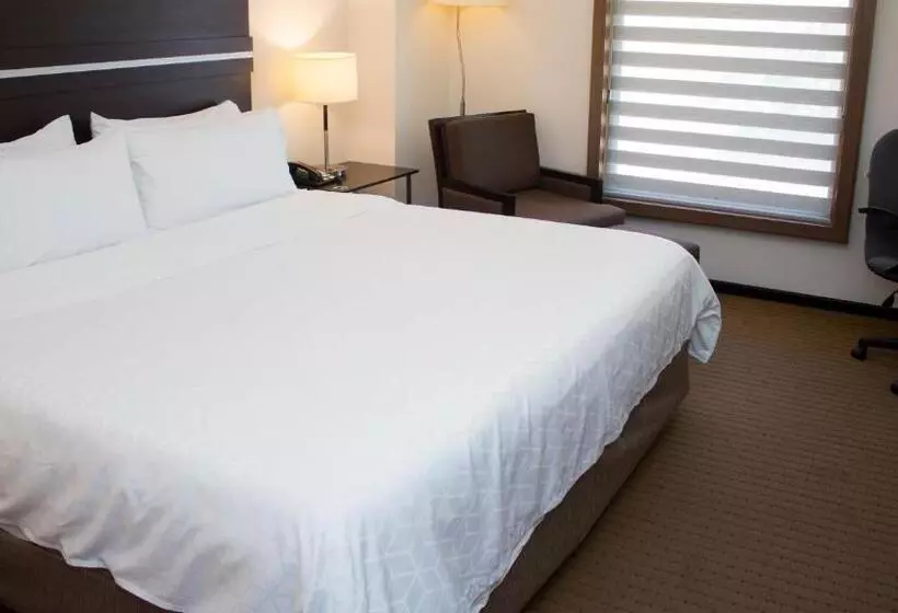 اتاق استاندارد با تخت بزرگ, Holiday Inn Express Guaymas, An Ihg
