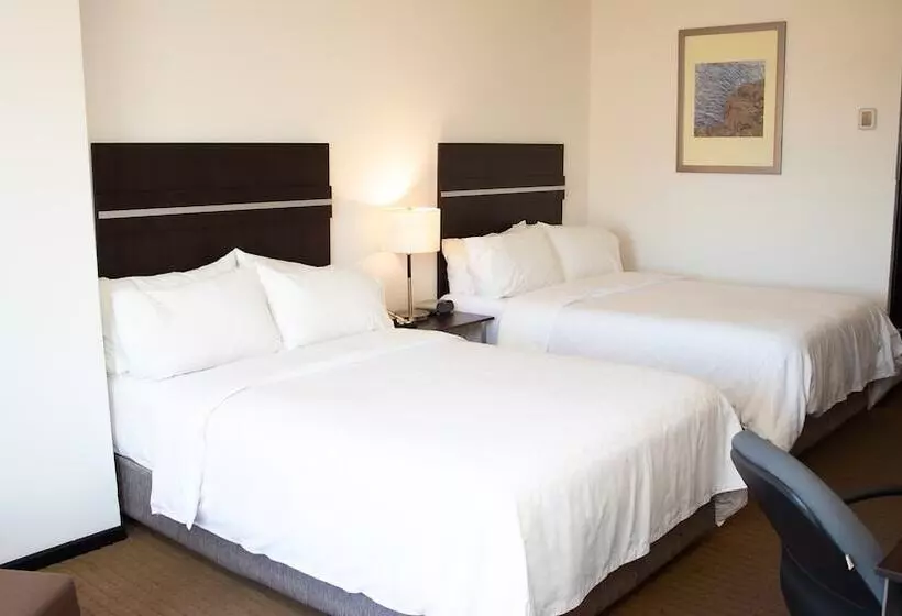 Standard Room 2 Double Beds