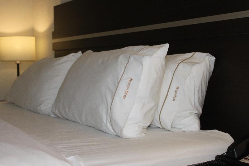 スタンダードルーム, Holiday Inn Express Guaymas, An Ihg