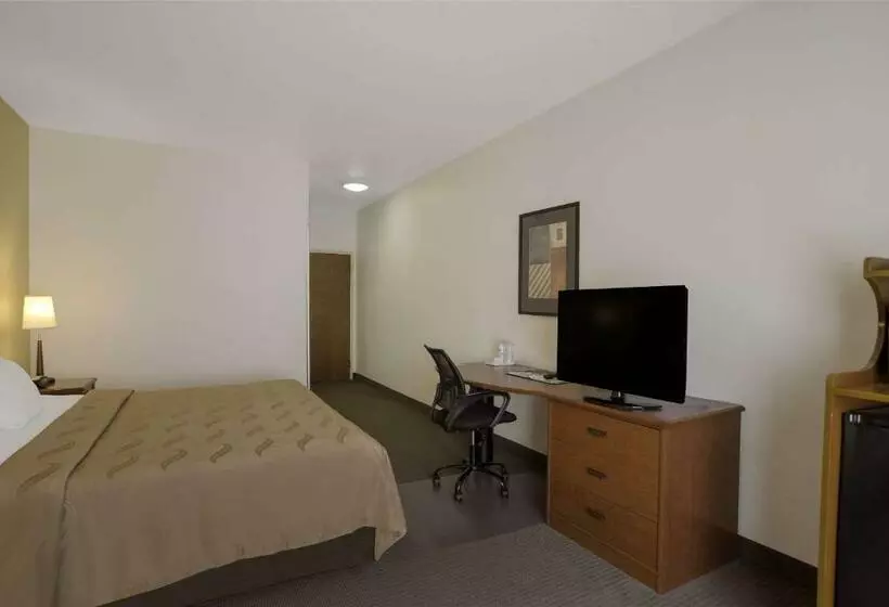 キングサイズベッドのスタンダードルーム, Quality Inn & Suites Chambersburg