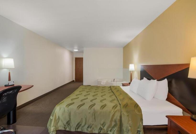 Номер Стандарт Кровать Кинг Адаптированный для Инвалидов, Quality Inn & Suites Chambersburg