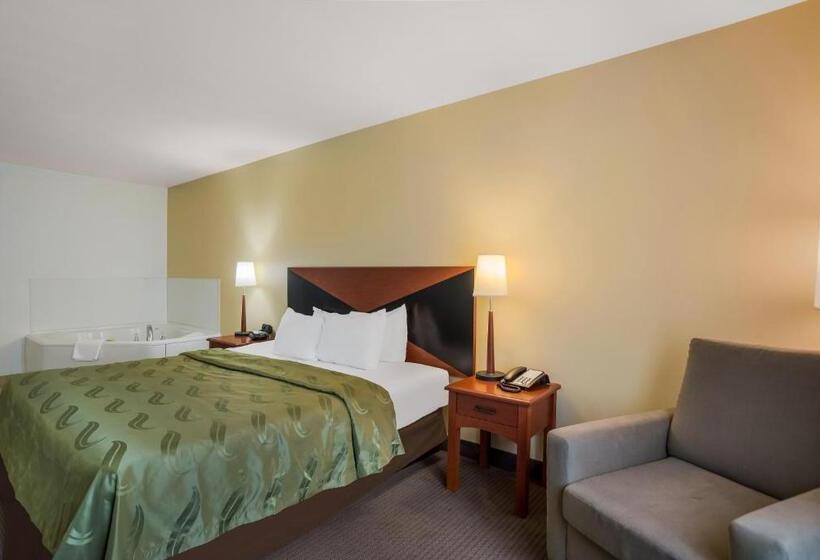 Номер Стандарт Кровать Кинг Адаптированный для Инвалидов, Quality Inn & Suites Chambersburg