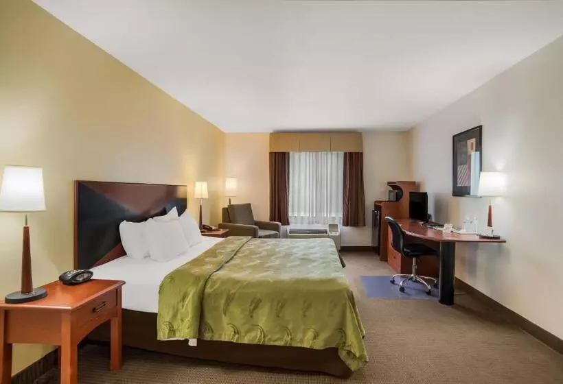 身障者適用キングサイズベッドルーム, Quality Inn & Suites Chambersburg
