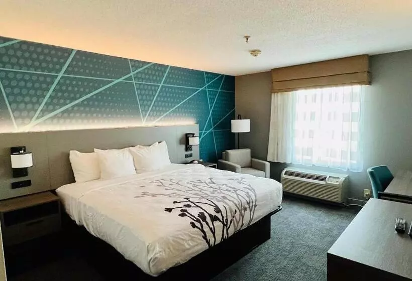 キングサイズベッドのスタンダードルーム, Comfort Inn Emporia