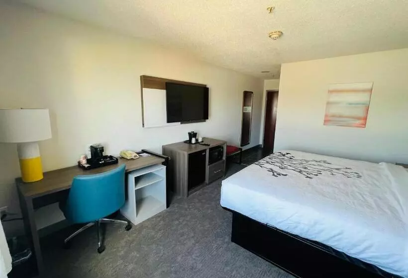 キングサイズベッドのスタンダードルーム, Comfort Inn Emporia