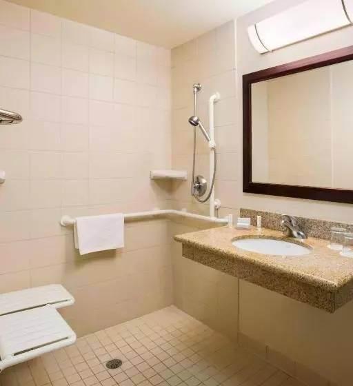 スタンダードスタジオ, Springhill Suites By Marriott Omaha East, Council Bluffs, Ia