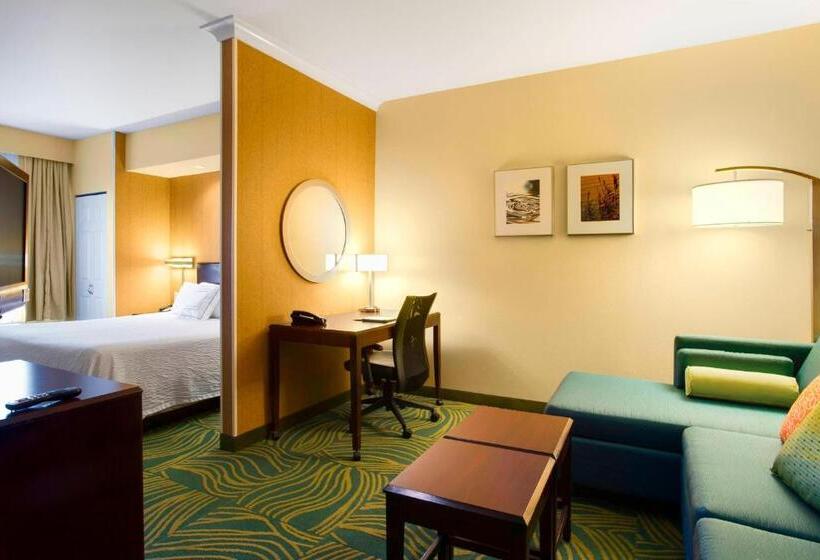 Студия Стандарт, Springhill Suites By Marriott Omaha East, Council Bluffs, Ia