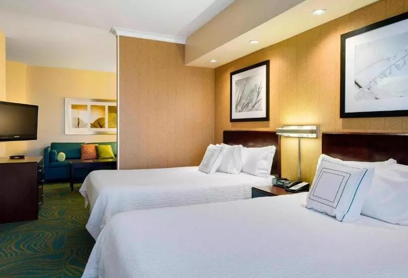 スタンダードスタジオ, Springhill Suites By Marriott Omaha East, Council Bluffs, Ia